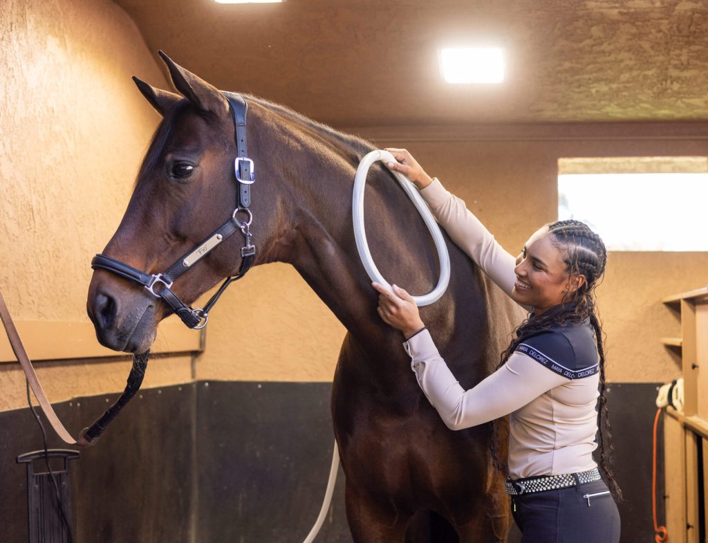 Elite Athlete Anna Buffini giving her horse PEMF therapy using the MagnaWavePEMF Large Loop attachment