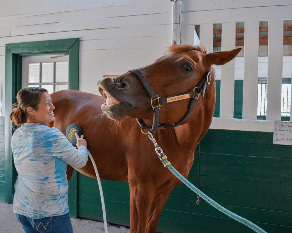 A woman giving her horse PEMF therapy on its midsection using a MagnaWavePEMF Zoom Paddle attachment