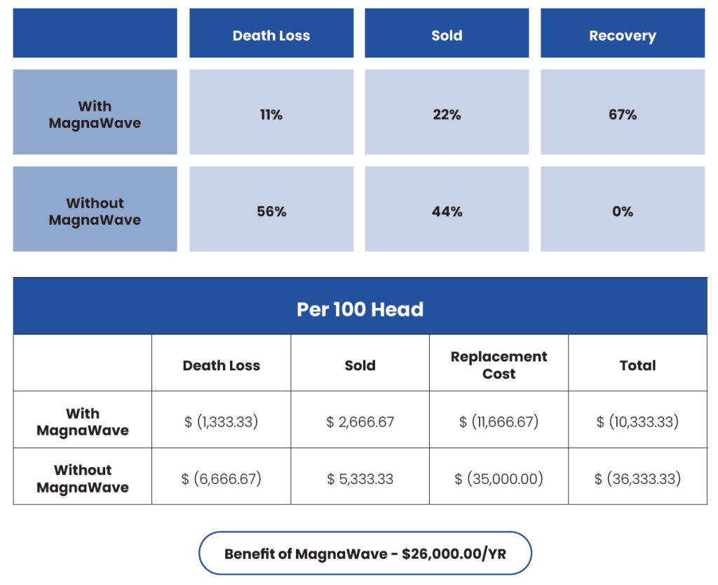 Infographic about potential death tolls and costs if MagnaWavePEMF hadn't been used in a farmer's challenging cow situation
