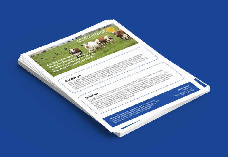 MagnaWavePEMF flyers about PEMF therapy applications, detailing a Challenge that needed to be overcome and the solution to how it was done.